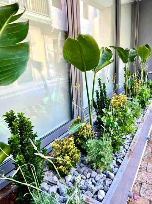 Demetra 1 Bdr Down Town Nicosia By Platform 357 Apartment Екстериор снимка